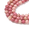 Natural Rhodonite Beads Strands G-P553-G06-02A-4