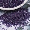 MIYUKI Delica Beads SEED-JP0008-DB1758-1