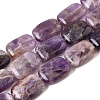 Natural Amethyst Beads Strands G-S386-A12-2