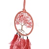 Iron Woven Web/Net with Feather Pendant Decorations AJEW-P097-11-2