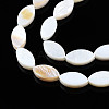 Natural Freshwater Shell Beads Strands SHEL-Q024-017-3