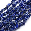 Natural Lapis Lazuli Beads Strands LS-G-P332-50-1