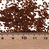 15/0 Transparent Czech Glass Seed Beads SEED-N004-004-21-6