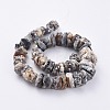 Natural Agate Beads Strands G-L547-014-3