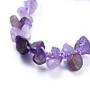 Adjustable Natural Amethyst Chip Beads Braided Bead Bracelets X-BJEW-JB04392-02-2