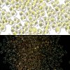 Luminous Glass Seed Beads SEED-A033-07D-1