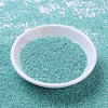 MIYUKI Round Rocailles Beads SEED-X0054-RR0536-2
