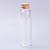 Glass Bottles LS-AJEW-H102-06D-1