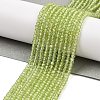 Natural Peridot Beads Strands G-ONLY-T-B07-01-2
