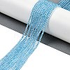 Natural Blue Topaz Beads Strands G-P553-A01-02-2