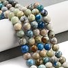 Natural Hackmanite Sodalite Beads Strands G-Z063-A03-03-2