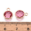 Golden Tone Brass Glass Charms GLAA-ZX008-24J-G-3