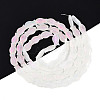 Frosted Glass Beads Strands X-GLAA-T023-40C-09-2