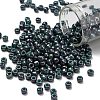 TOHO 6/0 Round Beads SEED-TR06-1207-1