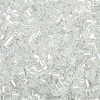 Two Cut Glass Seed Beads CSDB101-1