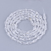 Transparent Glass Beads Strands X-GLAA-T009-004H-2