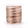 10M 304 Stainless Steel Wire TWIR-N005-0.5mm-RG-1