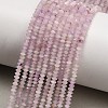 Natural Kunzite Beads Strands GG-CBAA9B4-A09-02-1