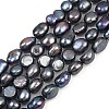 Natural Cultured Freshwater Pearl Beads Strands PEAR-P064-20K-03D-2