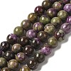 Natural Atlantisite Stichtite Beads Strands G-H034-A02-02-1