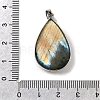Natural Labradorite Pendants G-B149-11P-3