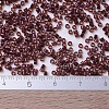 MIYUKI Delica Beads SEED-X0054-DB0120-4