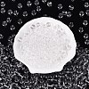 FGB Transparent Glass Seed Beads SEED-N013-01C-02-2