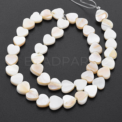 Natural Freshwater Shell Beads Strands X-SHEL-S276-70-1