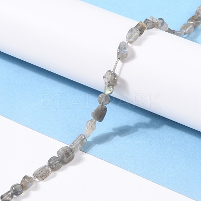 Natural Labradorite Beads Strands G-G018-24-1