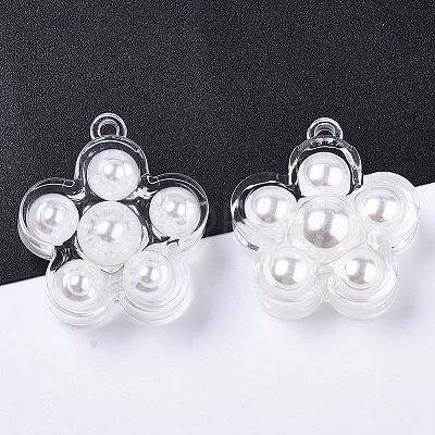 Transparent Acrylic Pendants X-TACR-R146-001-1
