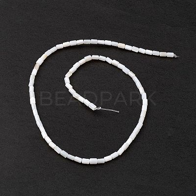 Natural Freshwater Shell Dyed Beads Strands SHEL-M018-12-12-1