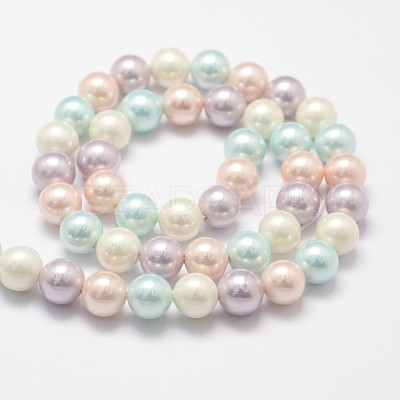 Polished Shell Pearl Bead Strands X-BSHE-F013-07A-1
