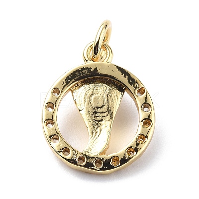 Brass Micro Pave Cubic Zirconia Charms ZIRC-F131-12G-1