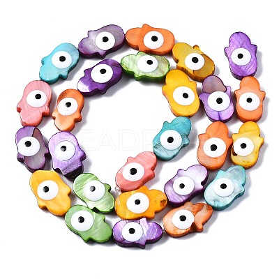 Freshwater Shell Beads Strands SHEL-T018-25-1