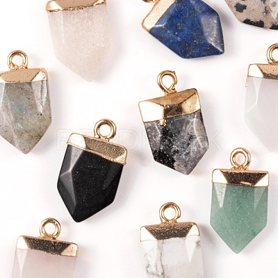 10Pcs 10 Style Natural Gemstone Pointed Pendants G-LS0002-04-1