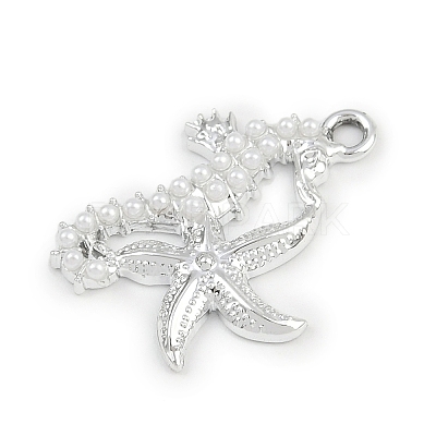 Alloy Pendants FIND-F013-07P-1