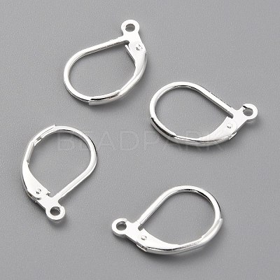 Brass Leverback Earring Findings X-KK-O131-09S-1