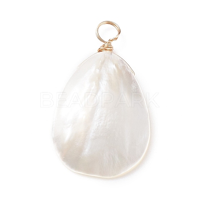 Natural Trochid Shell/Trochus Shell Pendants X-PALLOY-JF01393-1
