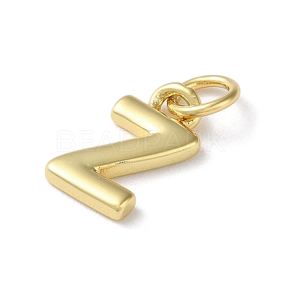 Rack Plating Brass Charms KK-P245-06G-Z-1
