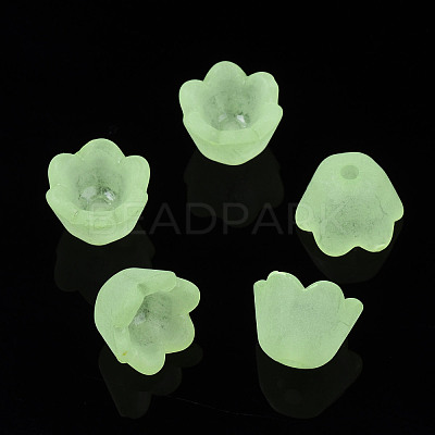 Transparent Acrylic Beads FACR-N005-001-1