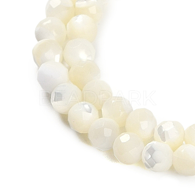 Natural Shell Beads Strands SSHEL-E571-38B-4mm-1
