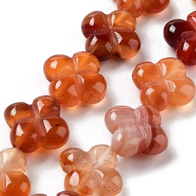 Natural Red Agate Beads Strands G-P520-A06-01-1