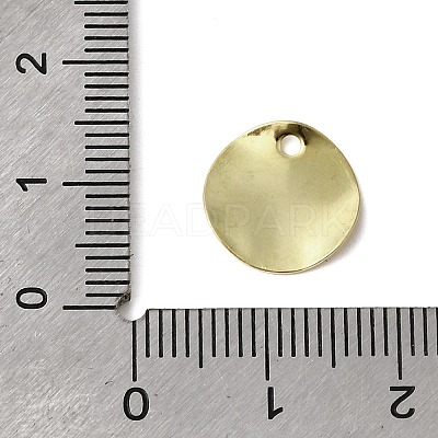 304 Stainless Steel Charms STAS-D217-04G-1