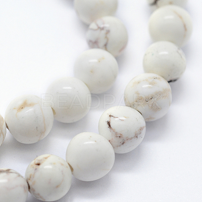 Natural Magnesite Beads Strands X-G-I199-27-6mm-1