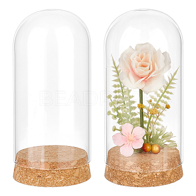 2Pcs Glass Cloche Dome Covers AJEW-BC0008-81-1