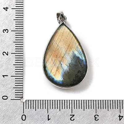 Natural Labradorite Pendants G-B149-11P-1