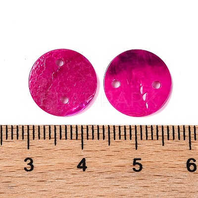 Spray Painted Natural Akoya Shell Connector Charms LS-BSHE-S304-17B-1