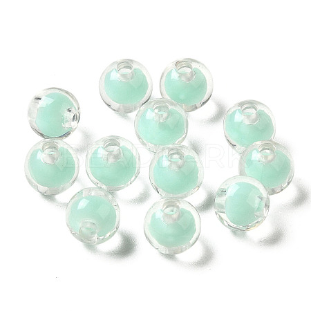 Transparent Acrylic Beads OACR-Z006-02A-1