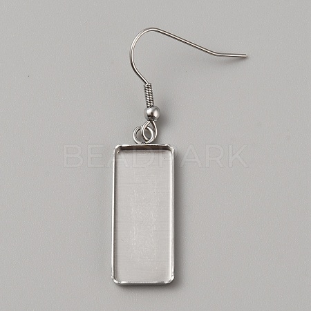304 Stainless Steel Earring Hooks FIND-WH0422-29P-1