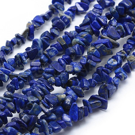 Natural Lapis Lazuli Beads Strands LS-G-P332-50-1